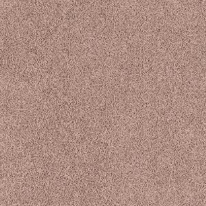 8139_5_additional image.jpg image
